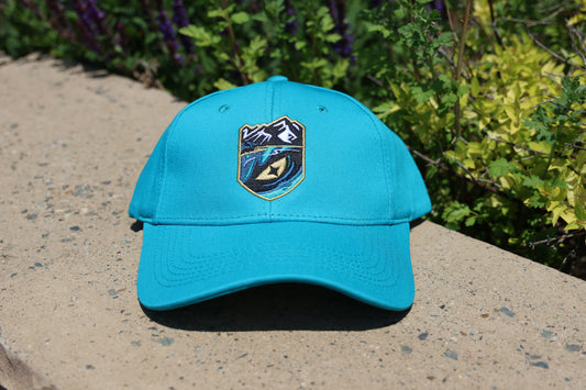 Tahoe Knight Monsters Core Solid Shield Scene Logo All Teal Curved Brim Hat