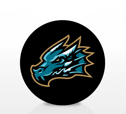 Alternate Logo Hockey Puck